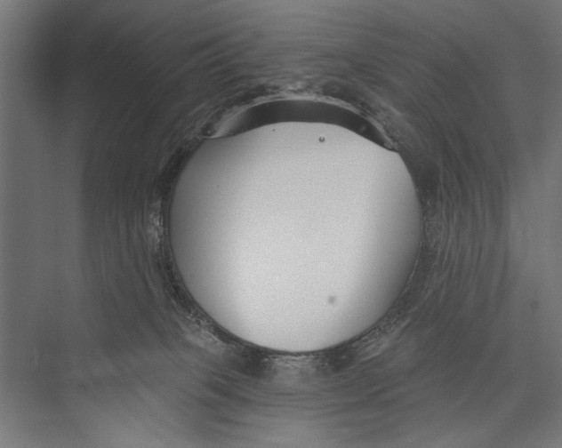 X0000075340085200610061706