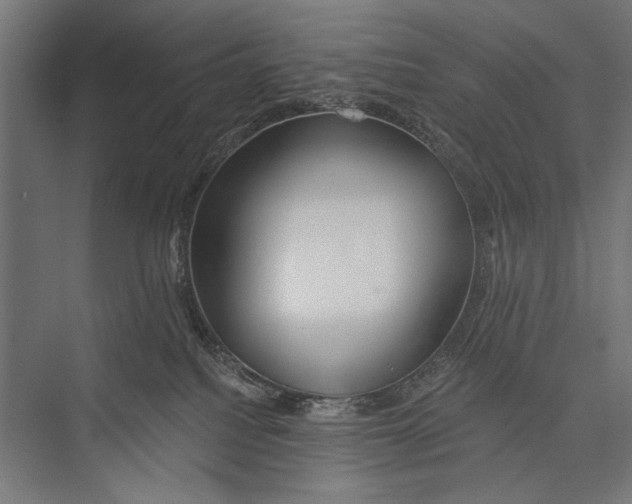 X0000075340088200610061706