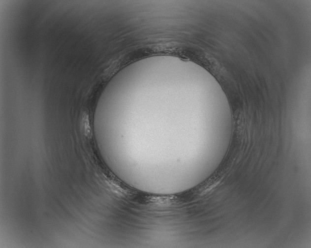 X0000075340089200610061706