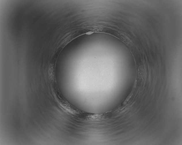 X0000075340092200610061706