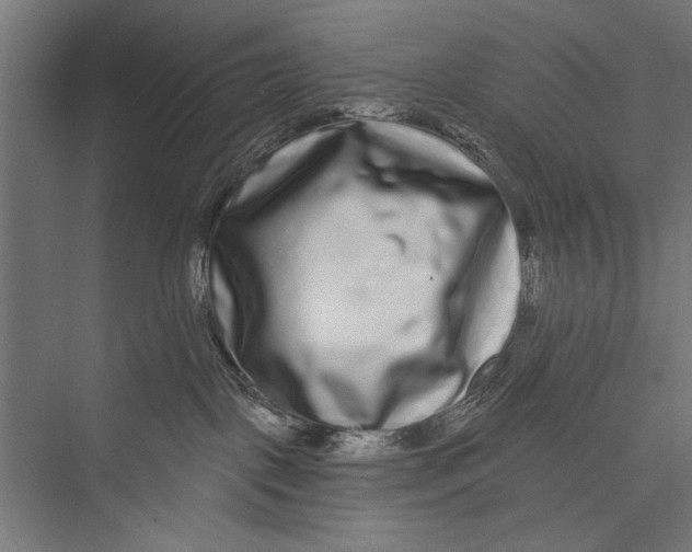 X0000075340093200610061706