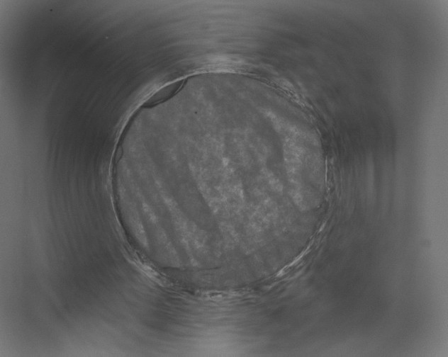 X0000075340099200610061705