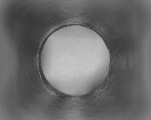 X0000075340100200610061705