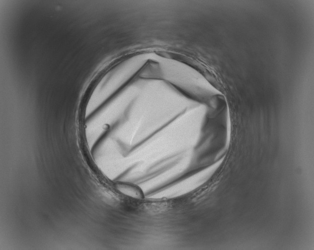 X0000075340102200610061705