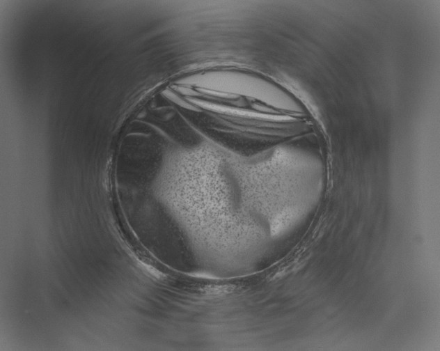 X0000075340105200610061705