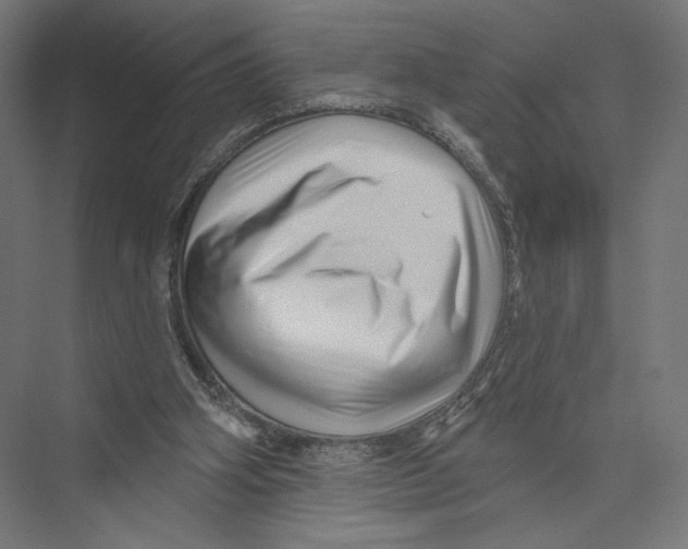 X0000075340106200610061705