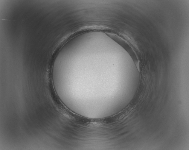 X0000075340111200610061705