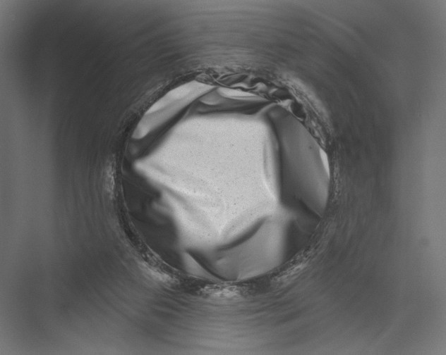 X0000075340113200610061705