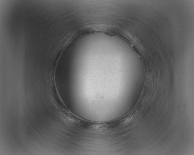 X0000075340117200610061705