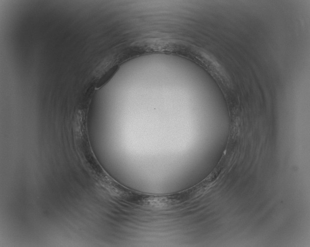 X0000075340121200610061705