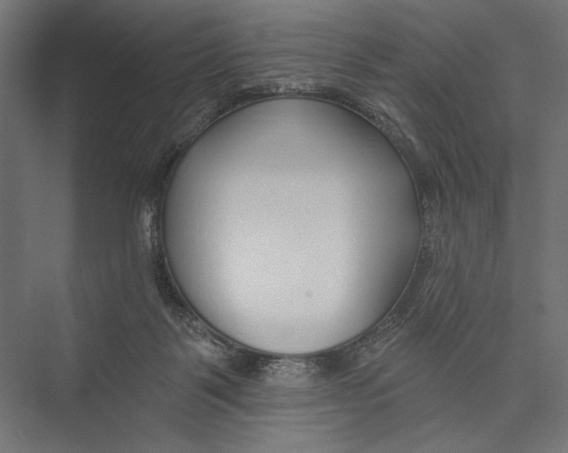 X0000075340123200610061705