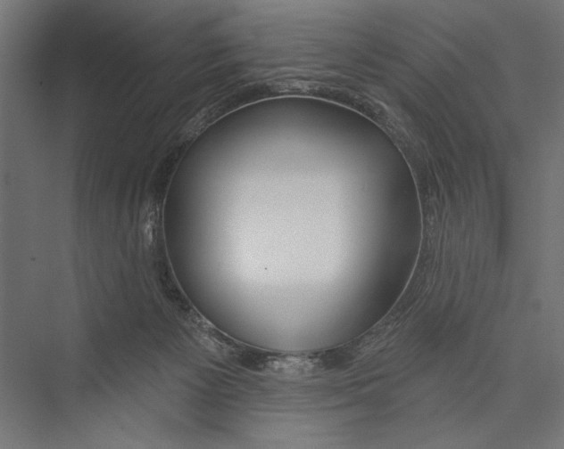 X0000075340125200610061705
