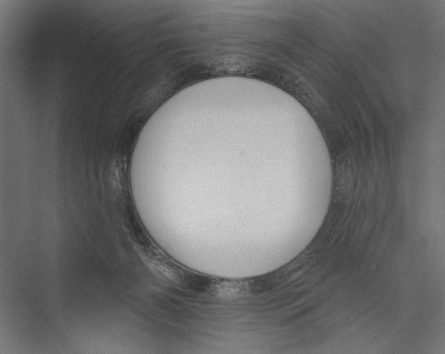 X0000075340126200610061705