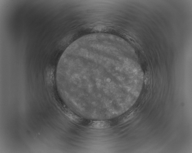 X0000075340127200610061705