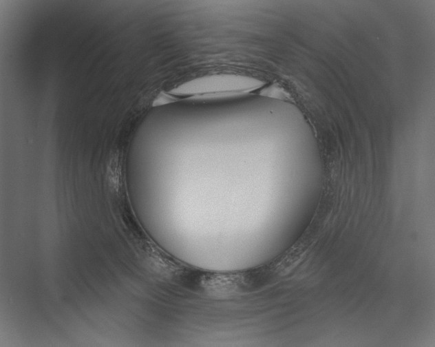 X0000075340129200610061705