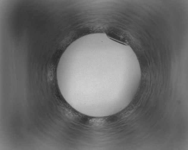 X0000075340133200610061704