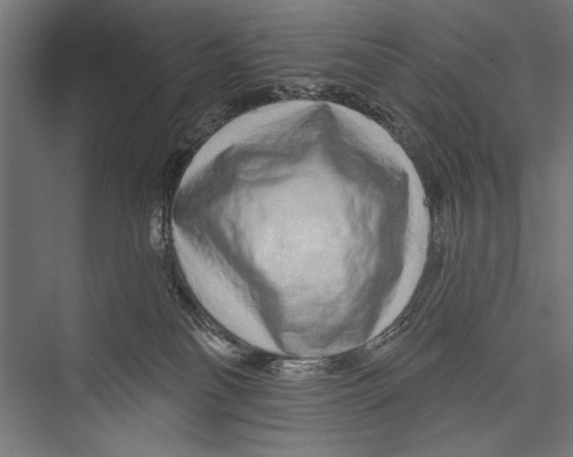 X0000075340134200610061704