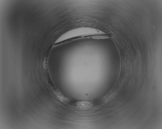 X0000075340137200610061704