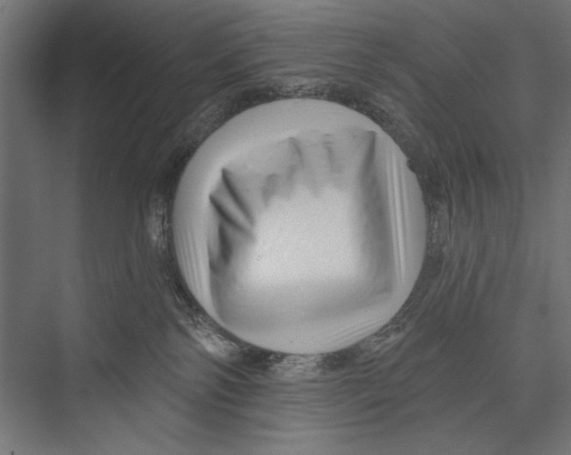 X0000075340138200610061704