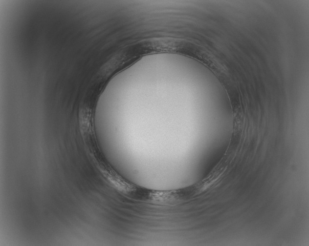 X0000075340141200610061704