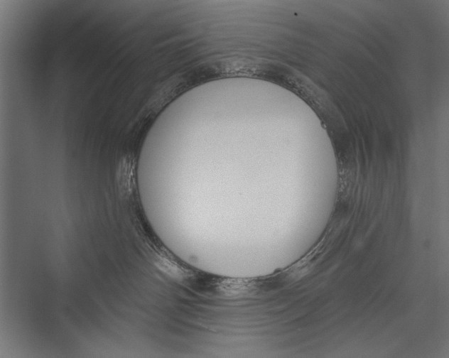 X0000075340142200610061704