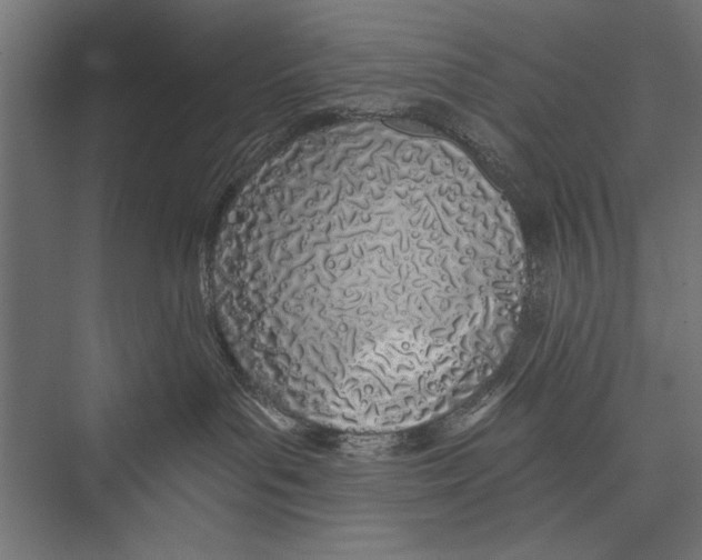 X0000075340143200610061704