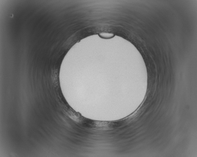 X0000075340144200610061704
