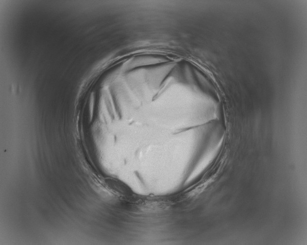 X0000075340149200610061704