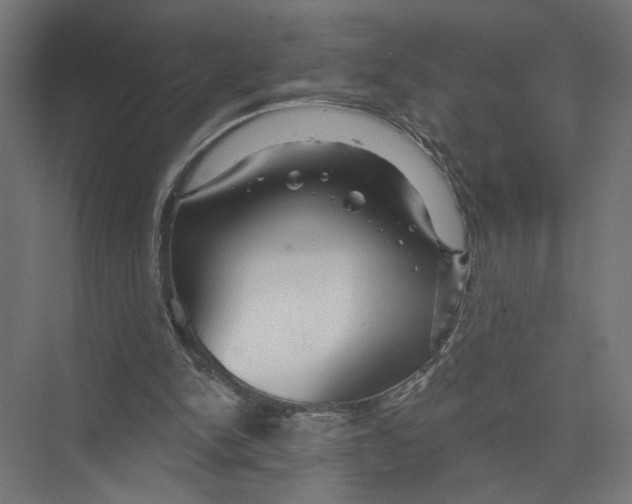 X0000075340150200610061704