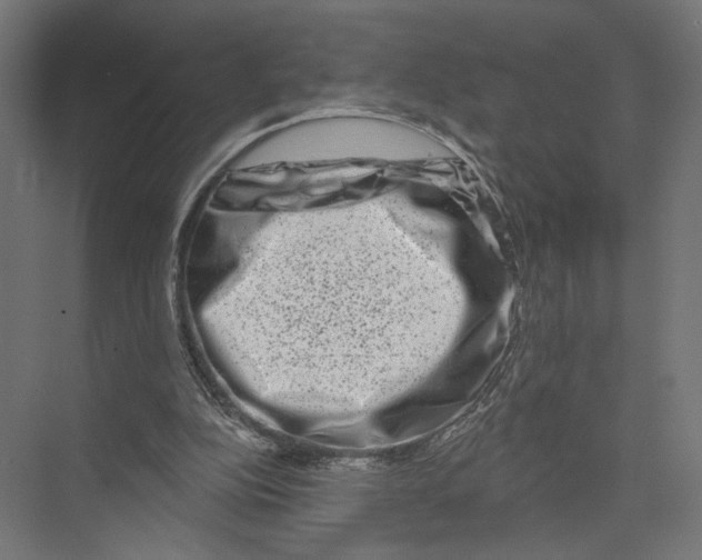 X0000075340152200610061704