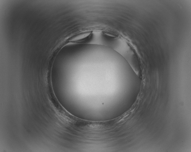 X0000075340154200610061704