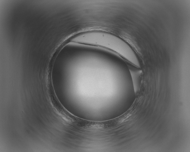 X0000075340156200610061704
