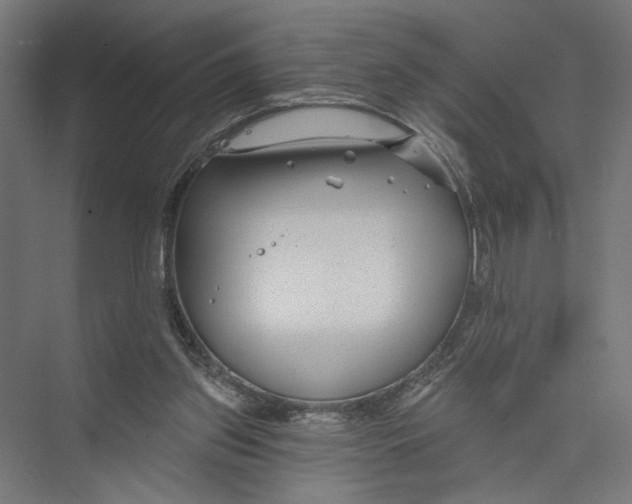 X0000075340157200610061704