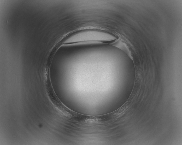 X0000075340160200610061704