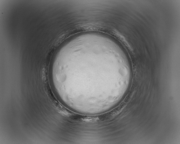X0000075340161200610061704