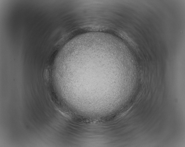 X0000075340165200610061704