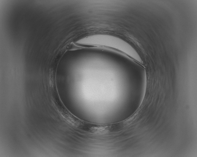 X0000075340170200610061704