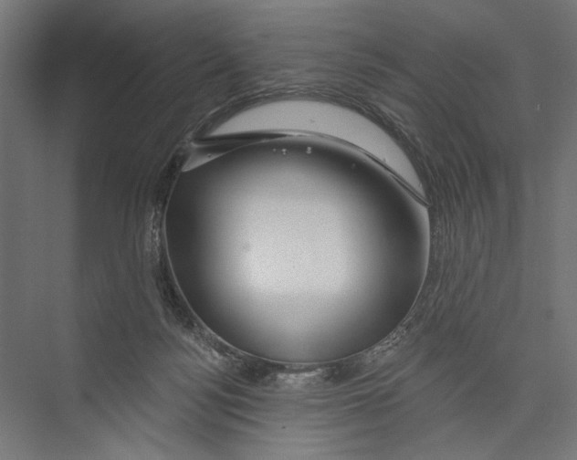 X0000075340172200610061704