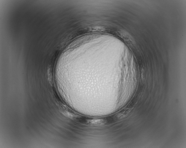 X0000075340173200610061704