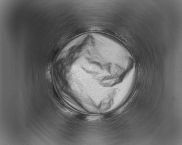 X0000075340175200610061704