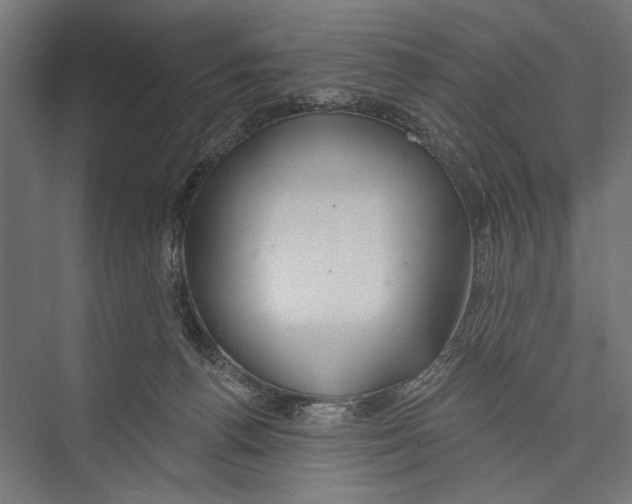 X0000075340176200610061704