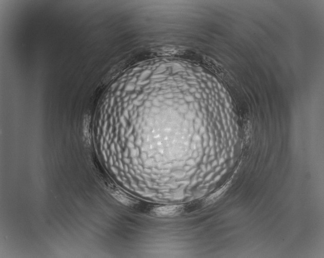 X0000075340178200610061704