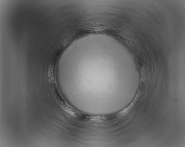 X0000075340182200610061704