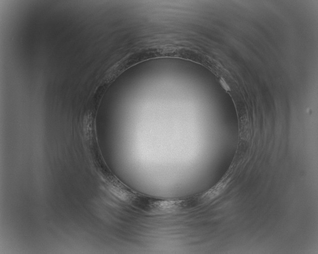 X0000075340184200610061704