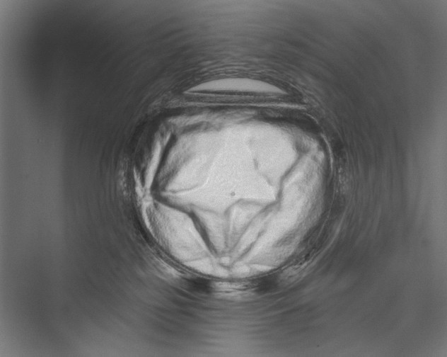 X0000075340185200610061704