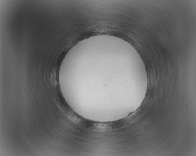 X0000075340187200610061704