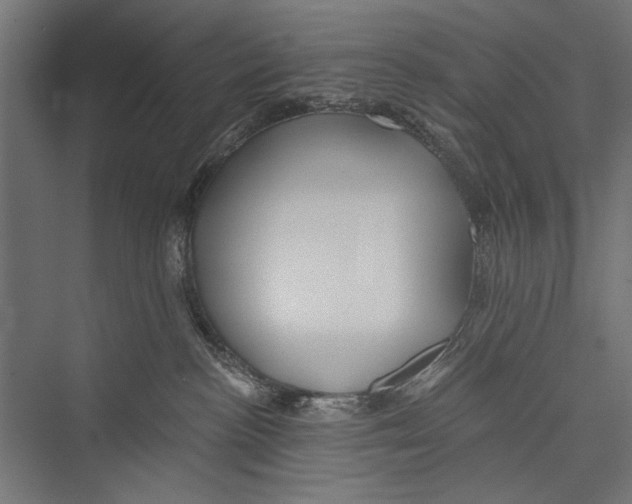 X0000075340188200610061704