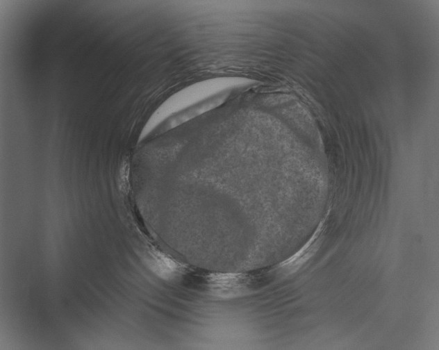 X0000075340192200610061704