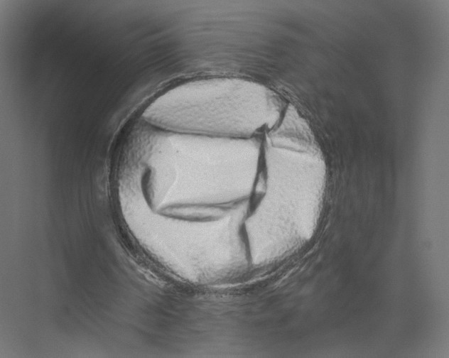 X0000075340194200610061703
