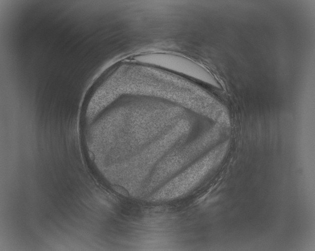 X0000075340196200610061703